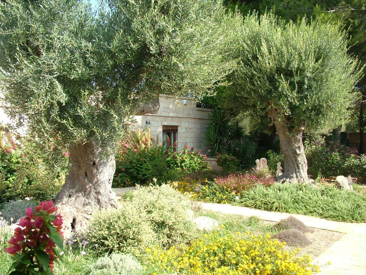 Villa Urania Torre San Giovanni Ugento Exterior foto